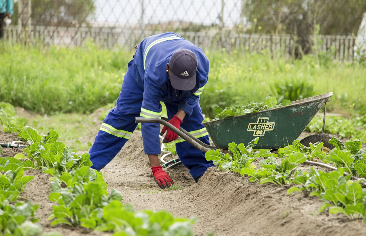 Vegetation management and servitude access support
